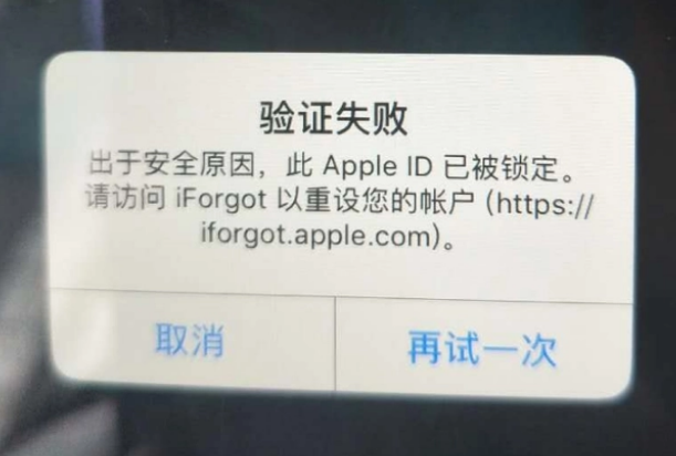 新华iPhone维修分享iPhone上正常登录或使用AppleID怎么办 