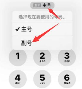 新华苹果14维修店分享iPhone 14 Pro Max使用副卡打电话的方法 