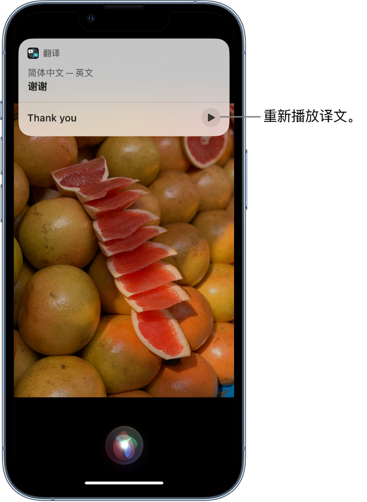 新华苹果14维修分享 iPhone 14 机型中使用 Siri：了解 Siri 能帮你做什么 