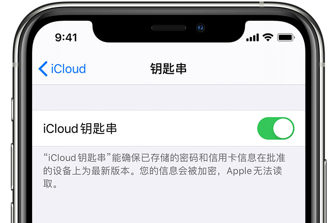 新华苹果手机维修分享在 iPhone 上开启 iCloud 钥匙串之后会储存哪些信息 