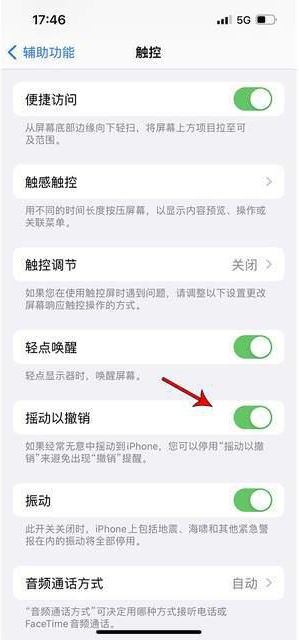 新华苹果手机维修分享iPhone手机如何设置摇一摇删除文字 